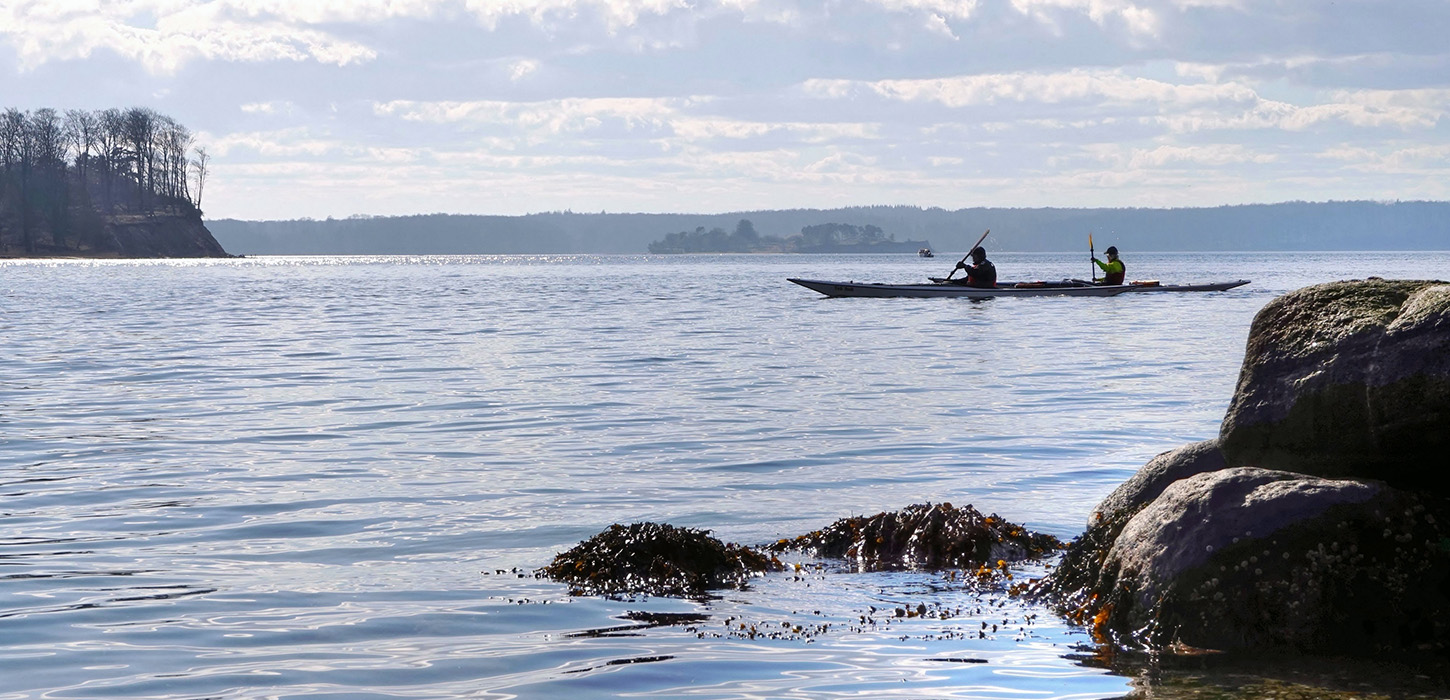 Kajaktur på Fænøsund - Middelfart