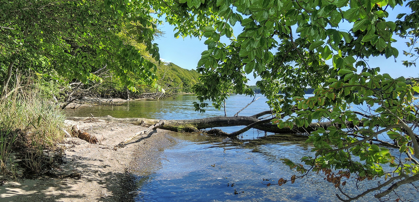 Oplev de små bugter lange FænøSund-Middelfart