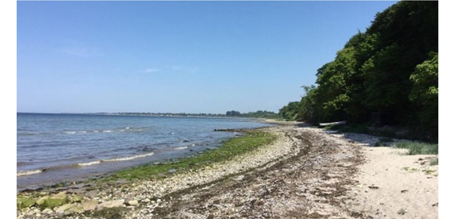Smuk natur på kyststrækningen mellem Båringskov og Bro Strand-Middelfart