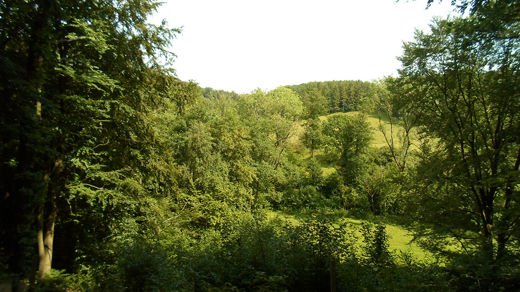 Favrskov Bjerge – fredet område ved Gelsted - Middelfart