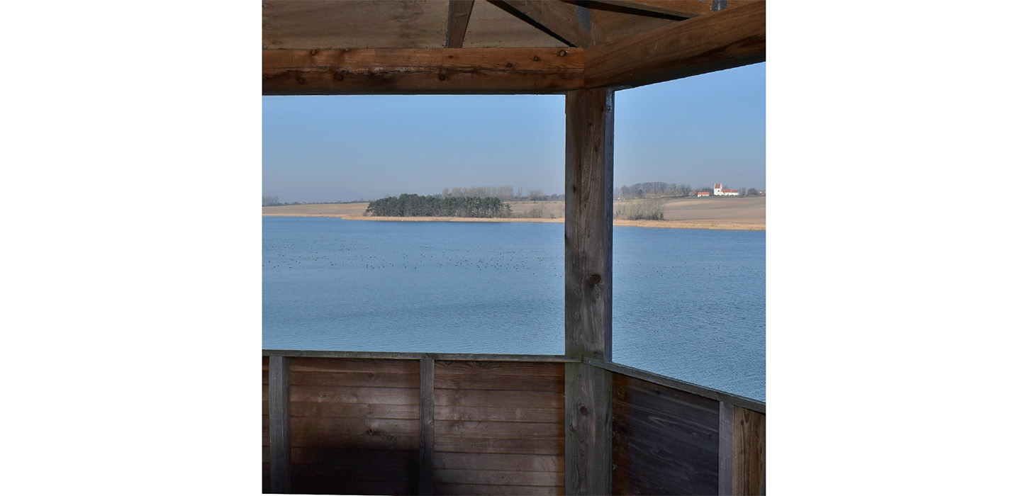 Udsigt fra fugletårnet ved Føns Vang Sø