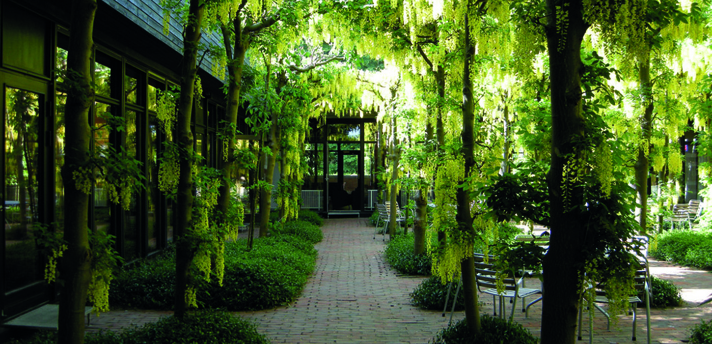 Gårdhaven - HUSET Middelfart