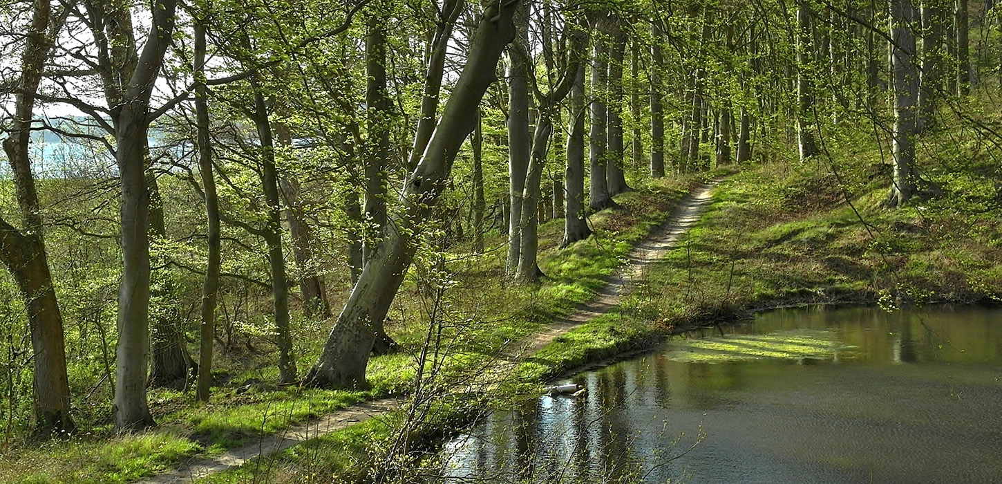Lillebæltsstien-Hindsgavl Halvøen-Middelfart