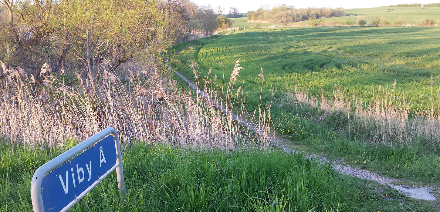 Dejlig tur i naturskøn område - Natur og Motionsstien - Næørre Aaby - Middelfart