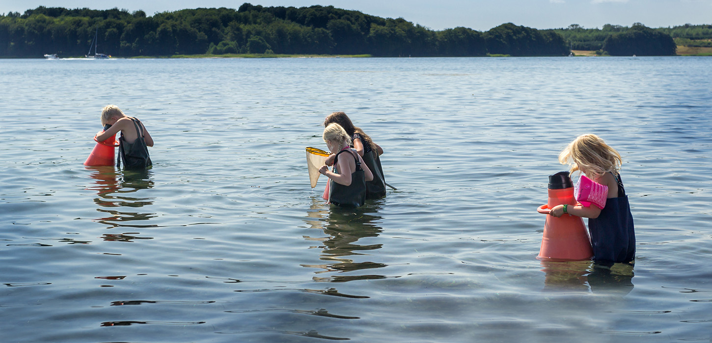 Klap en fisk er en gratis aktivitet på blå flag strande i Middelfart