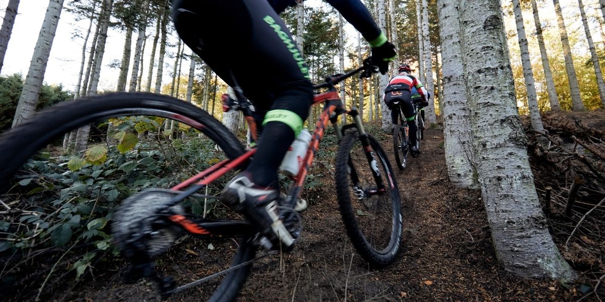 Mountainbikeryttere i fuld fart op af bakke