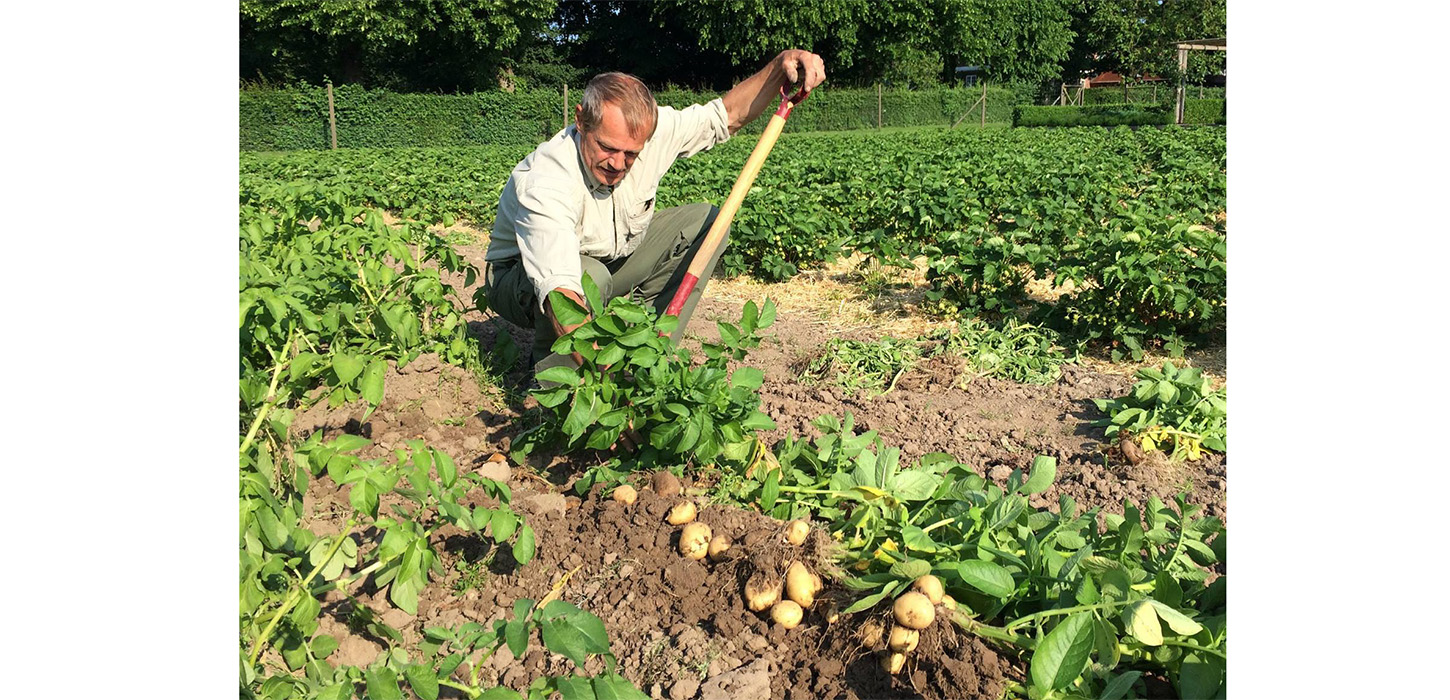 Nye kartofler - Hindsgavl Slot i Middelfart