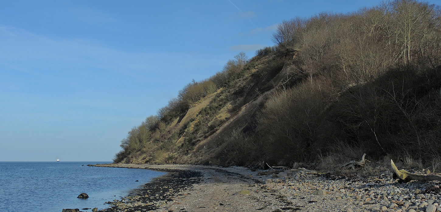 Geologi på Røjle Klint i Strib ved Middelfart