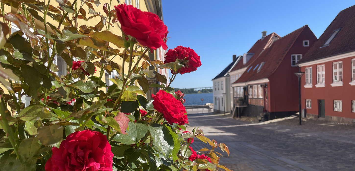 Klimaruten i Middelfart - Brogade med de smukke roser