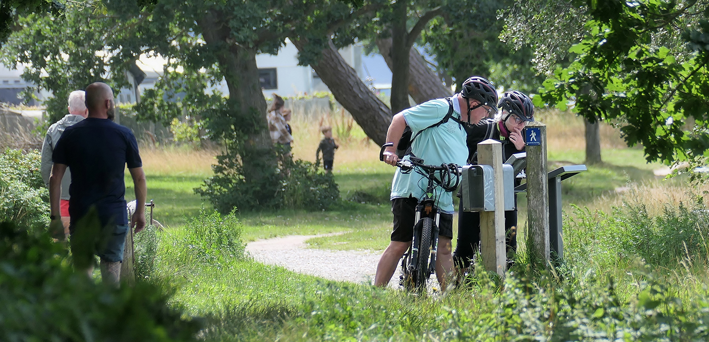 Tag på vandre eller cykeltur på Hindsgavl Halvøen