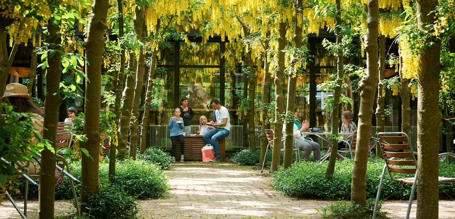 Gårdhaven midt i bygningen - HUSET-Middelfart