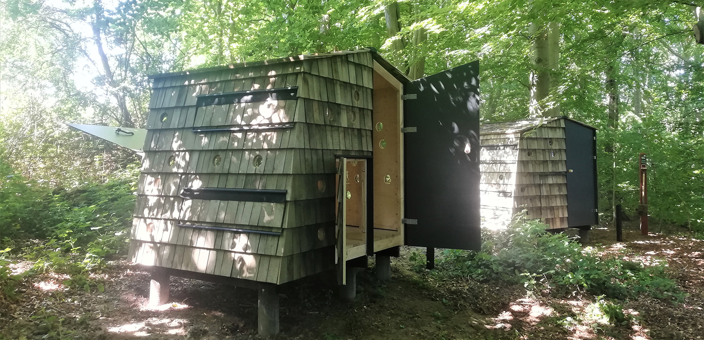 Shelterplads i Staurby Skov imellem Strib og Middelfart