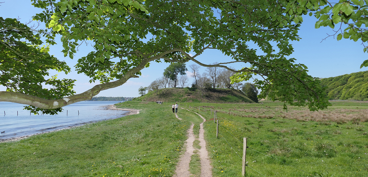 Tag en vadretur på Hindsgavl Halvøen - her kommer du fori Hindsgavl Voldsted