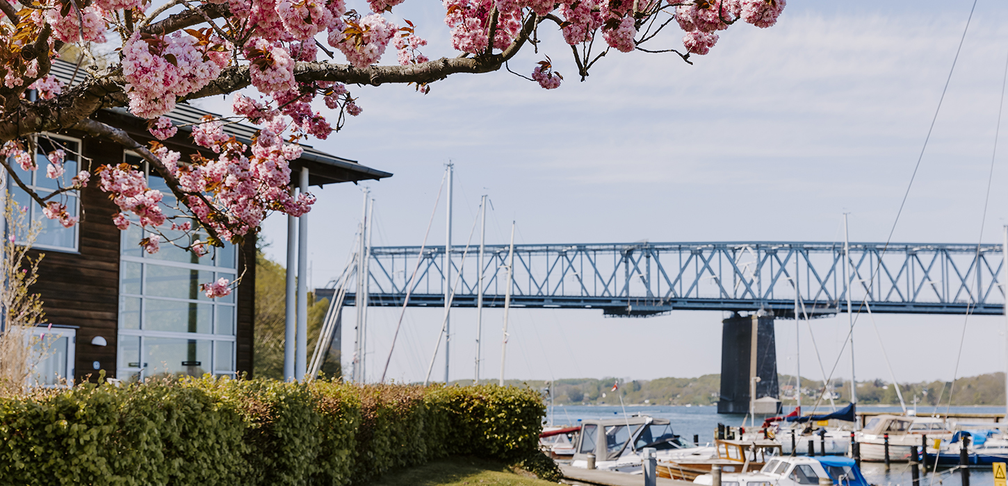 Forår ved Kongebro Havn i Middelfart