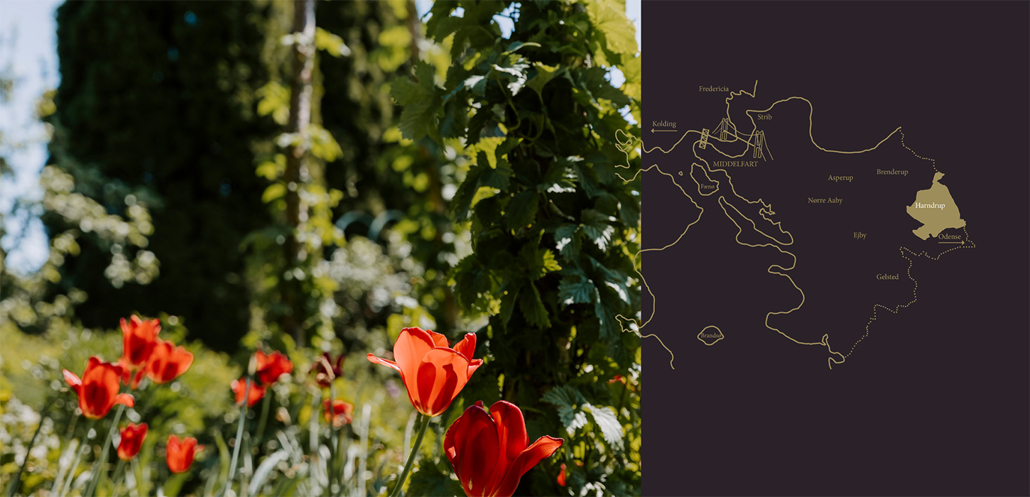 Humle i lange baner - Humlemagasinet - Middelfart