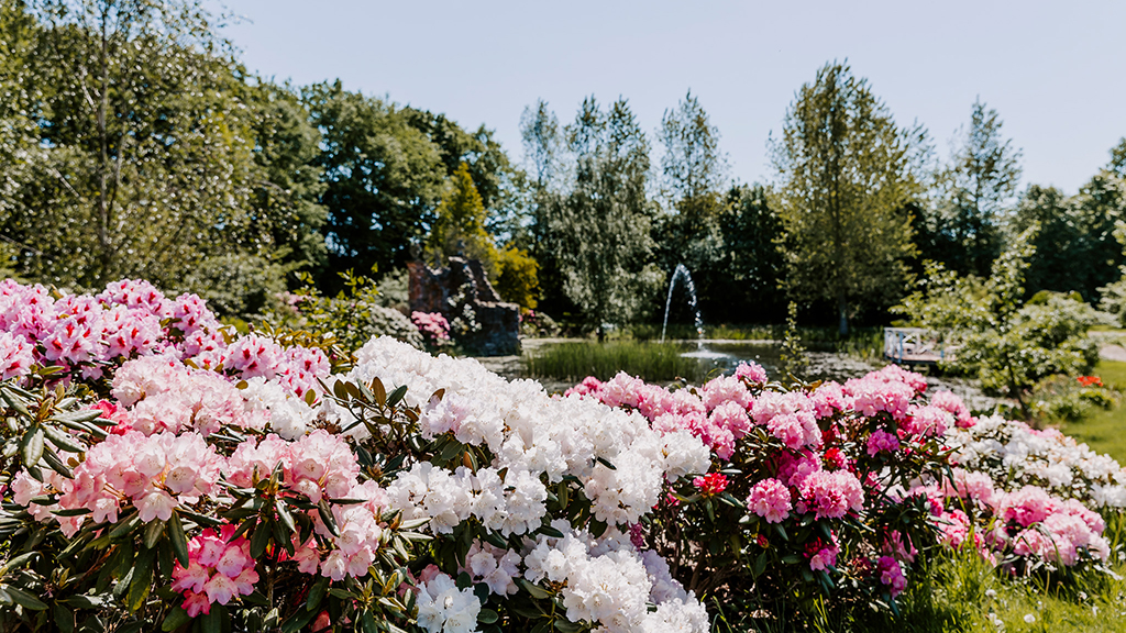 Åben have på Humlemagasinet i Harndrup - Middelfart