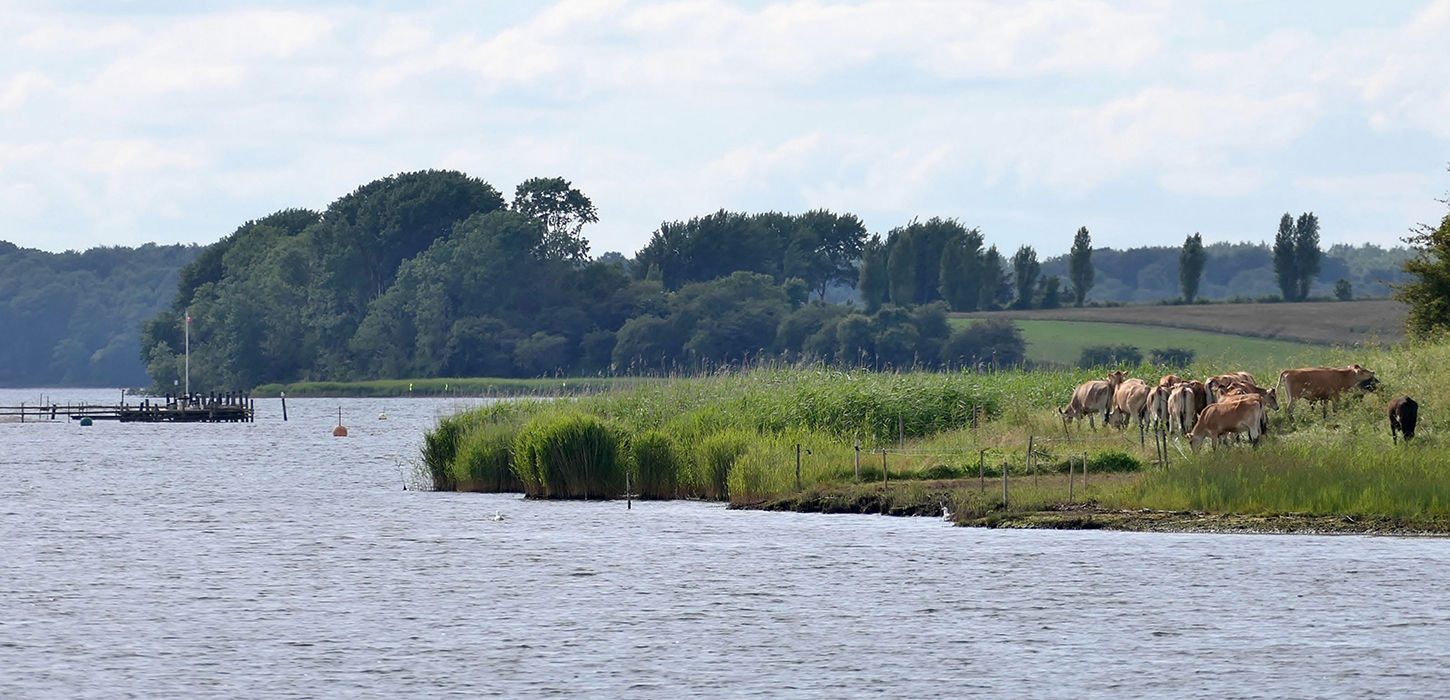 Gamborg Fjord, her finder du læ til båd, kajak eller kano