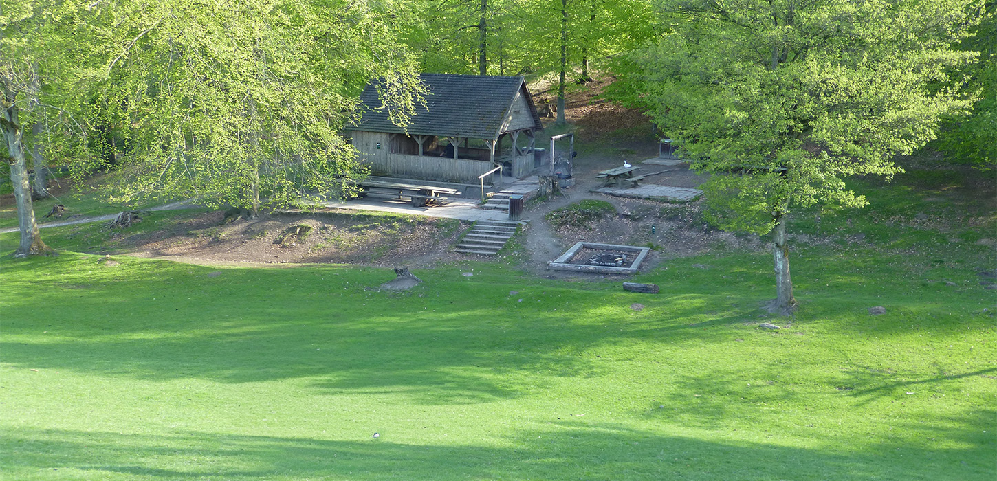 Tage et hvil, kig på dyrene, nyd din medbragte madpakke - Kobakken - Middelfart