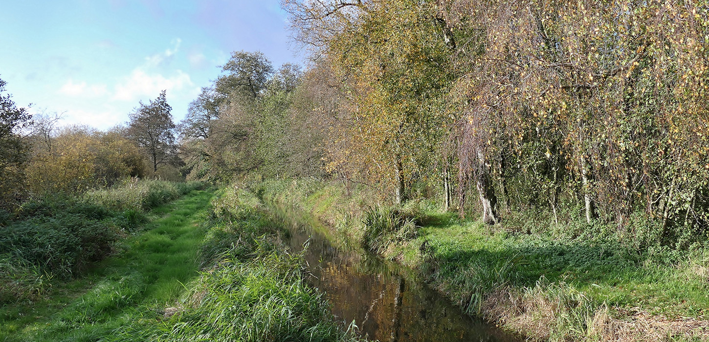 Naturskøn vandrerute mellem Ejby og Kingstrup Mose