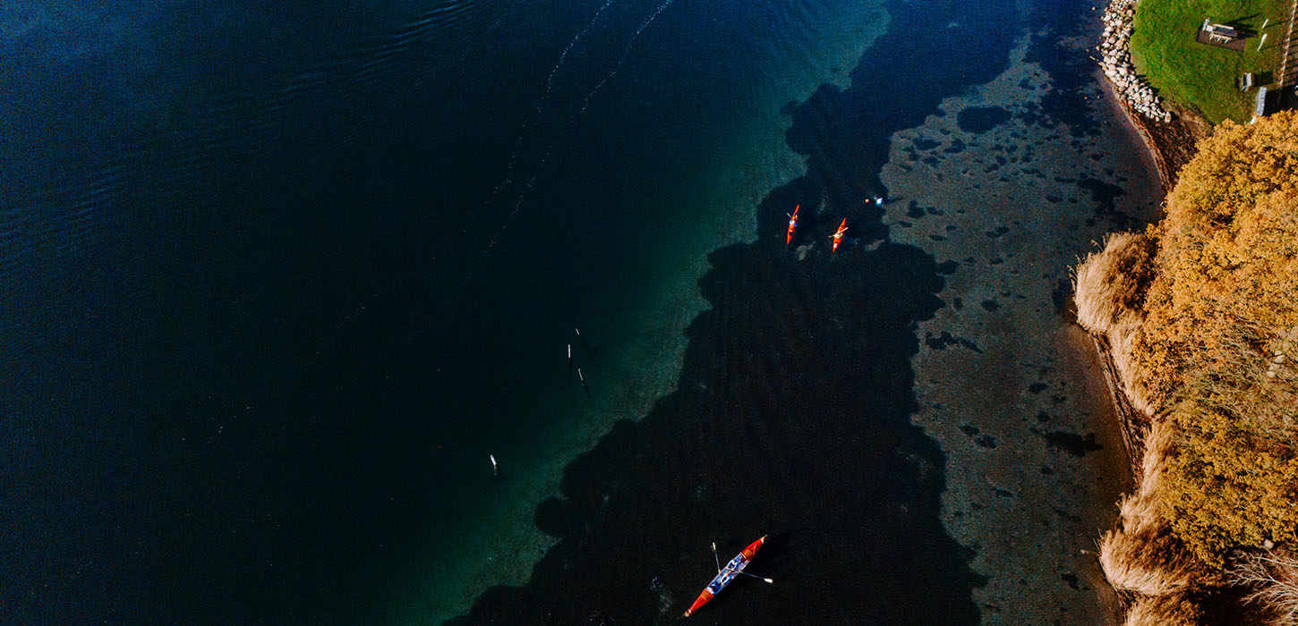 Kajaktur på Fænøsund i Middelfart