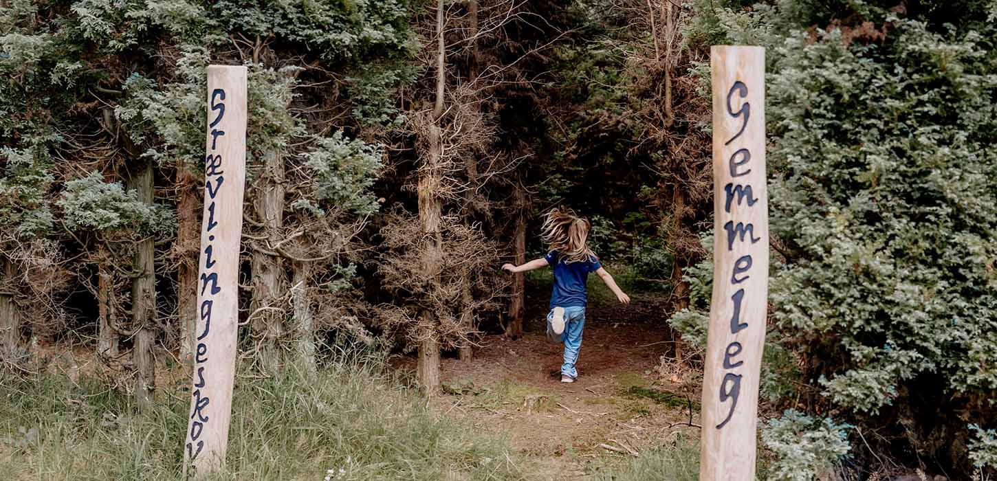 Familiepladsen i Staurby Skov giver lyst til leg og læring