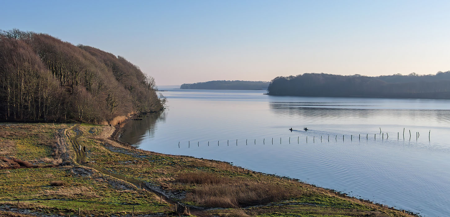Gå Lillebæltstien langs Hindsgavl Halvøens kyst i Middelfart