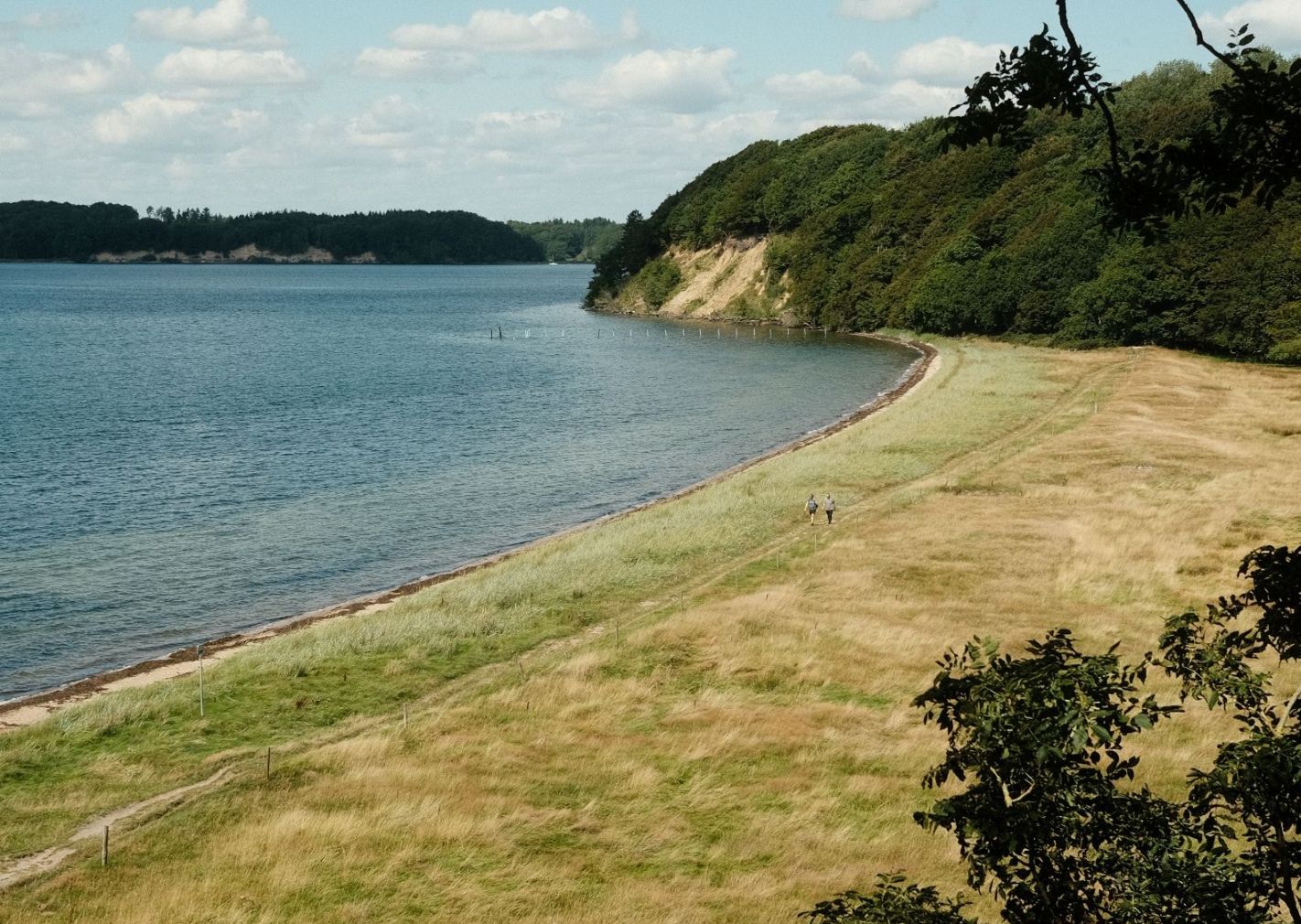 Røjleklint ved Lillebælt i Middelfart